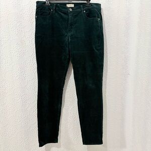 LOFT Outlet Green Velour Modern Skinny Jeans Size 12 Stretch Soft Velvet Feel